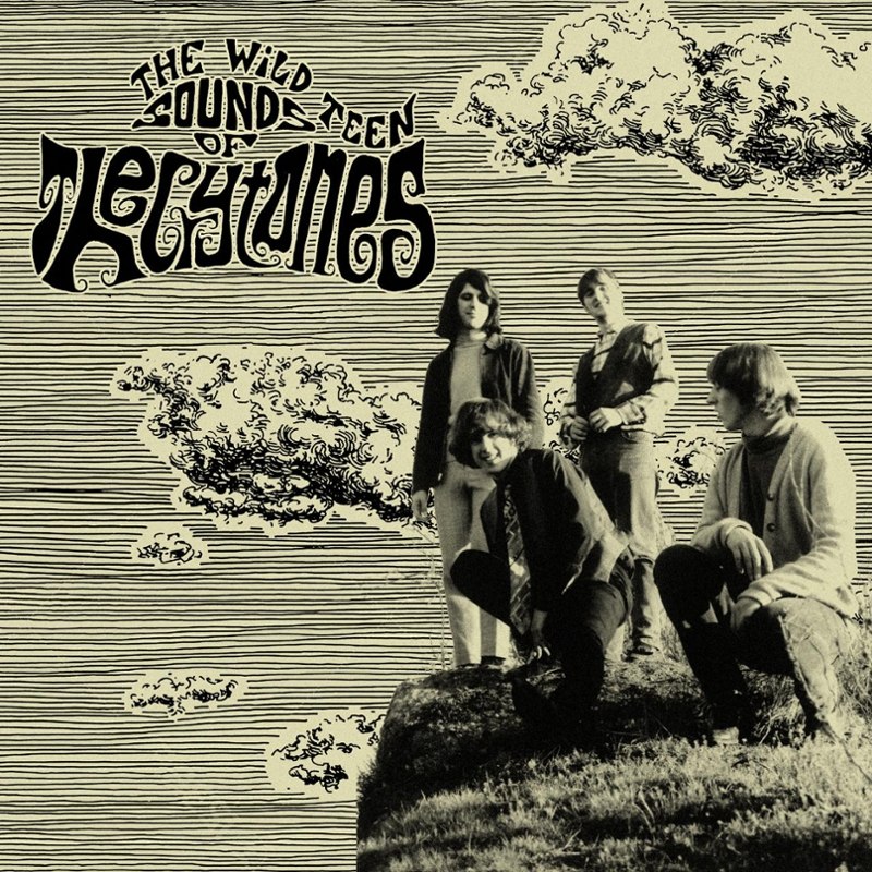 CRYTONES - The wild teenage sounds of... LP