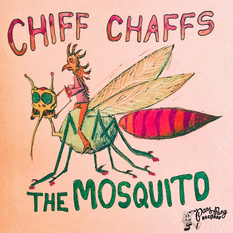 CHIFF CHAFFS - The mosquito 7