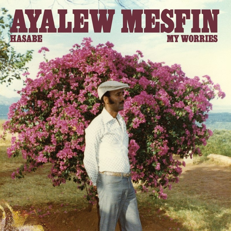 AYALEW MESFIN - Hasabe-my worries LP