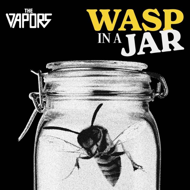 VAPORS - Wasp in a jar CD