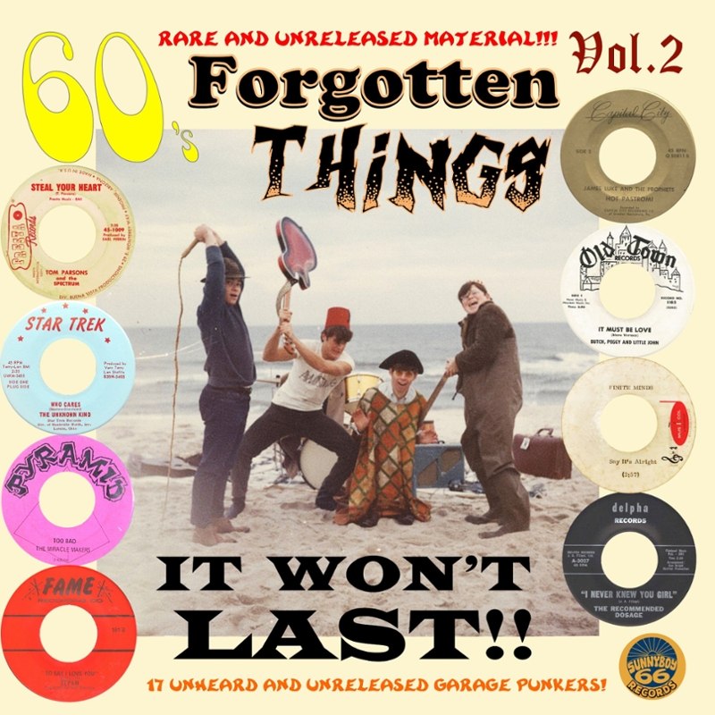 V/A - 60s forgotten things: welcome to the wilderness! Vol.2 It won't last!! LP
