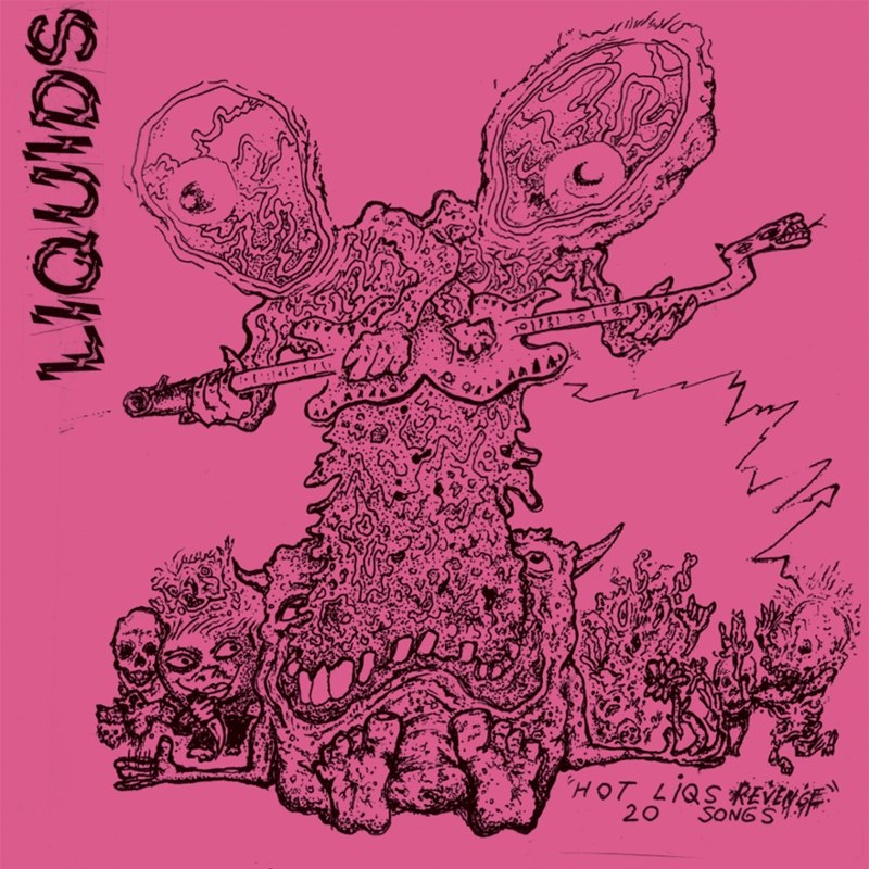 LIQUIDS - Hot liqs revenge LP