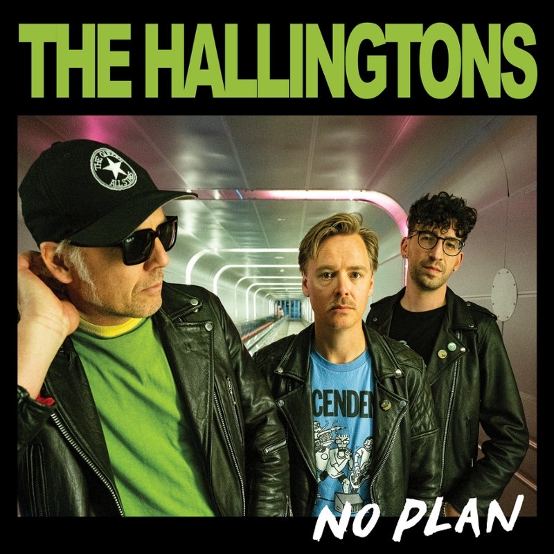 HALLINGTONS - No plan LP