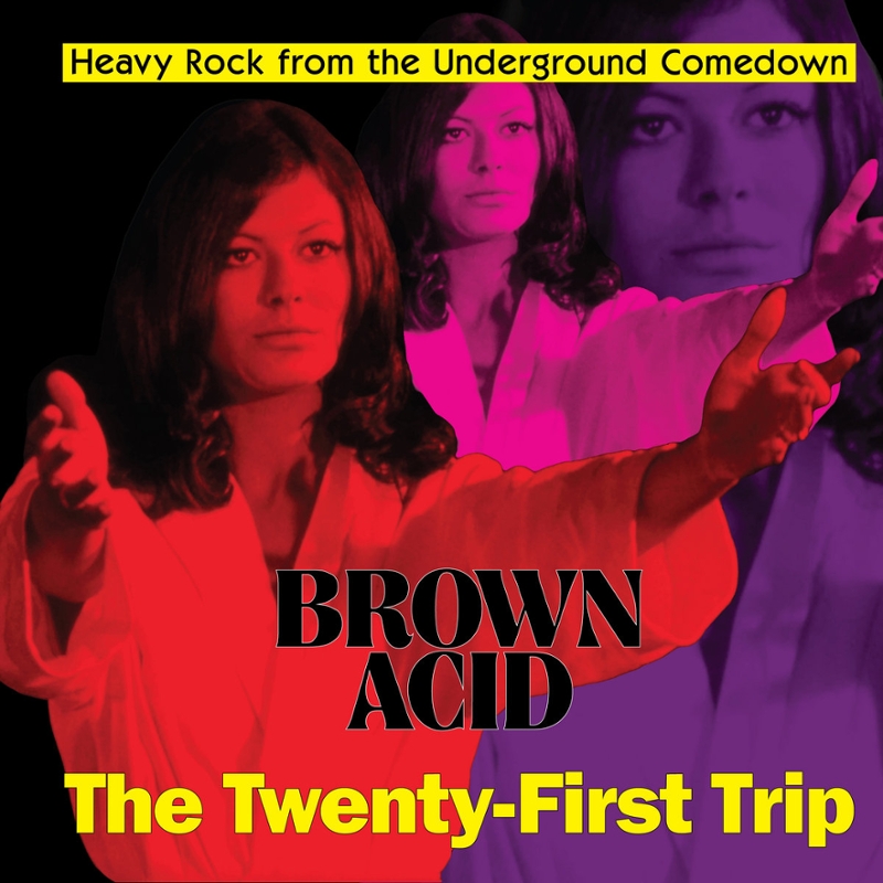 V/A - Brown acid-the twenty-first trip LP