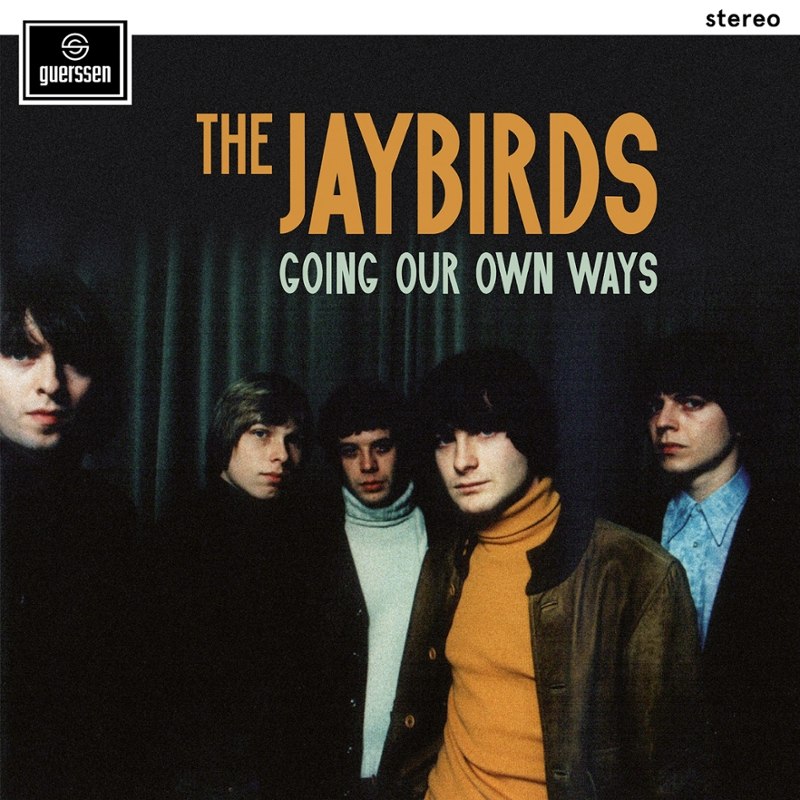 JAYBIRDS - Going our own ways LP