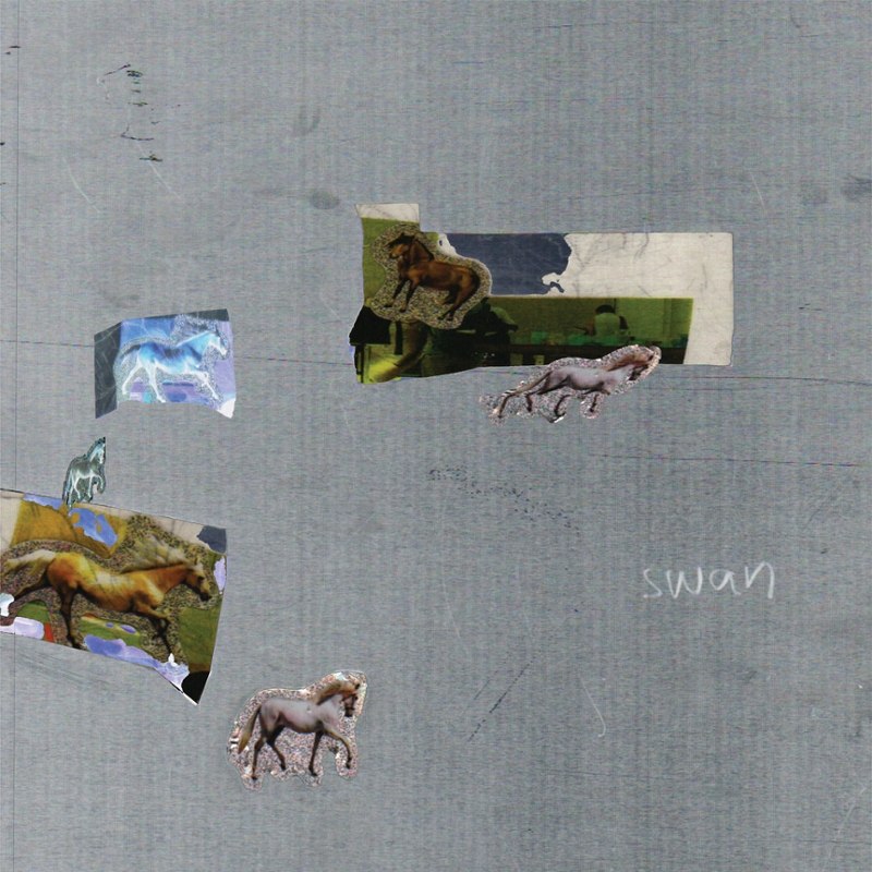 FAZED ON A PONY - Swan (clear) LP