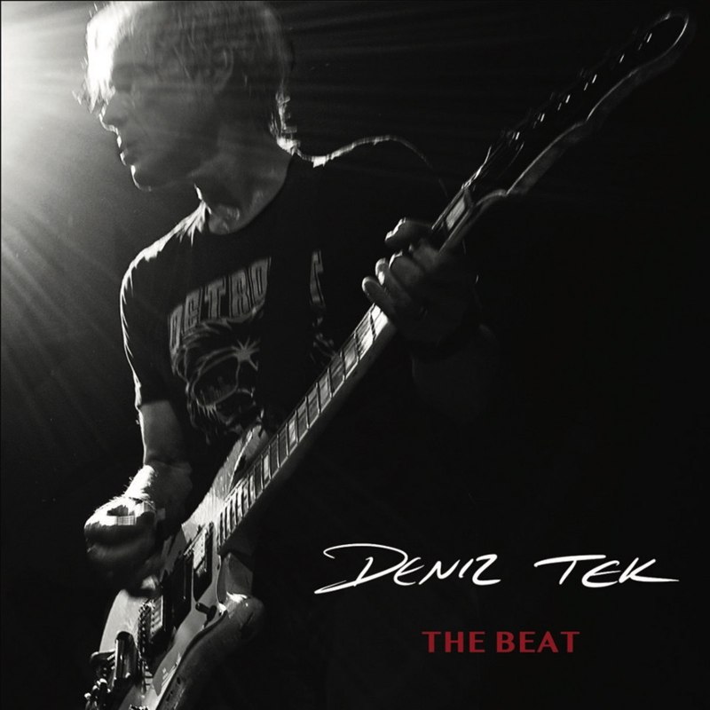 DENIZ TEK - The beat CD