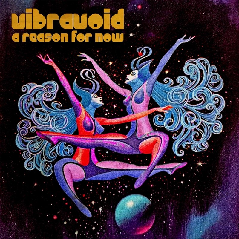 VIBRAVOID - A reason for now CD