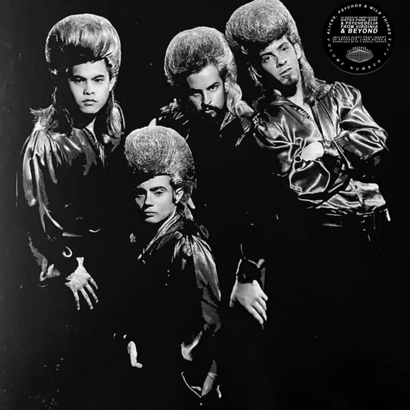 V/A - Aliens, psychos & wild things Vol. 5 LP